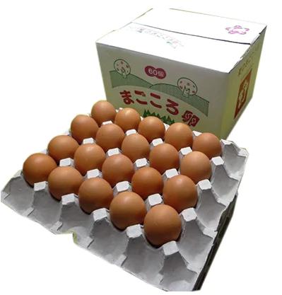 「地元ブランド」まごころ卵60個入り　鶏卵(生食用)
